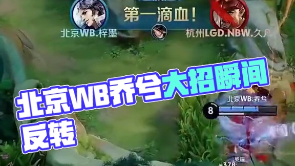 解放者杯 解放者杯