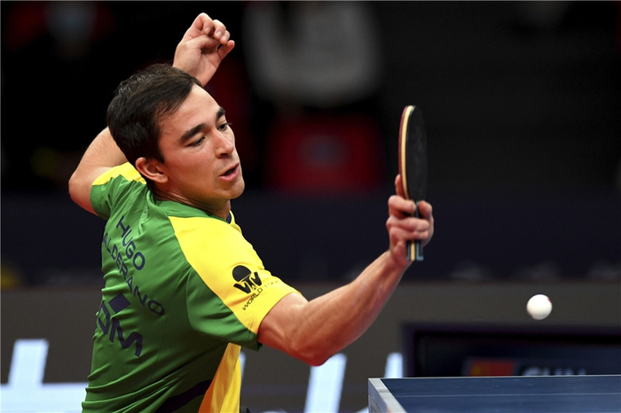 这位鹈鹕新 这位鹈鹕新